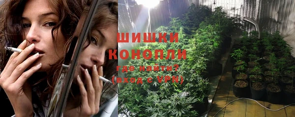 дмт Арсеньев