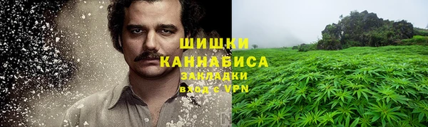 дмт Арсеньев