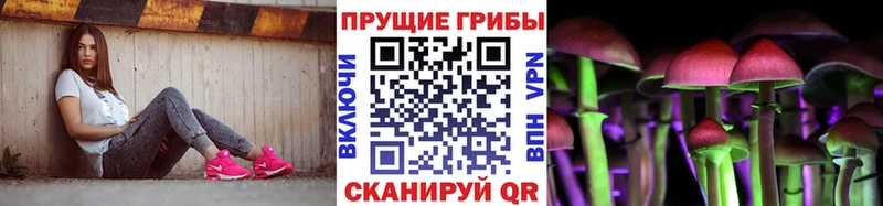 Псилоцибиновые грибы мицелий Афипский
